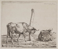 KG 07994
<br/>
Stier, de horens schurend aan een dode boom
<br/>
<em>Troostwijk, Wouter Johannes van (1782-1810)</em>